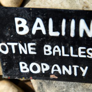 Bali interdit l&rsquo;utilisation de crypto-monnaies par les touristes étrangers.