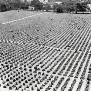 Neuf morts dans les fusillades au Vietnam