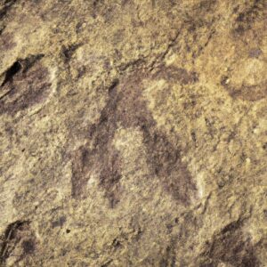 Des gravures néandertaliennes de 57 000 ans découvertes dans la vallée de la Loire en France.