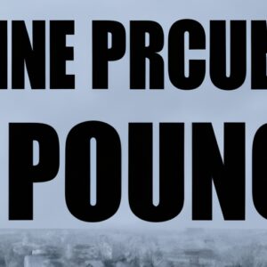 L’ONU critique l’utilisation excessive du profilage racial par la police française, déclare Paris.