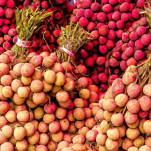 Hausse des ventes et des prix des récoltes vietnamiennes comme le litchi suite à la réouverture de la Chine