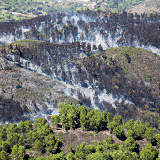 Feux de forêt en Europe : Des hectares détruits au Portugal, en Espagne