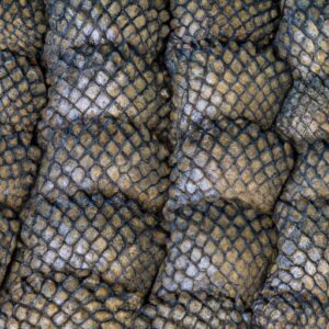 Plus d’une tonne d’écailles de pangolin en voie de disparition saisies en Thaïlande