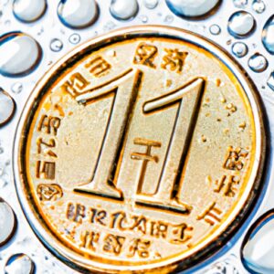 Les 5 meilleurs KOL de Douyin alimentent l&rsquo;économie du voyage en Chine