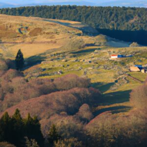 Le plateau d’Aubrac en France, paradis des éleveurs de bétail et des parfumeurs.