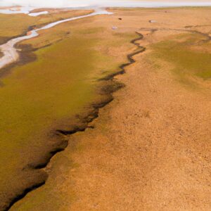 Sécheresse en Amazonie : Le plus grand État du Brésil souffre de la baisse des cours d’eau