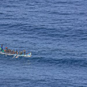Les chasseurs de nageoires de requin