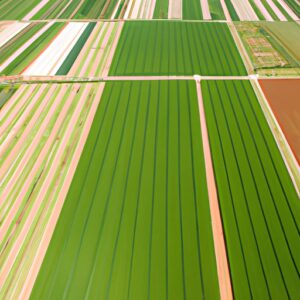Israël peut-il se remettre de la guerre à Gaza dans le secteur agricole ?