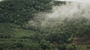 Le chef de l’IEA, Fatih Birol, estime même que l’objectif des deux degrés est irréaliste dans la crise climatique