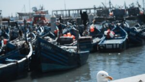 Nous raterons même l’objectif des 2 degrés si la politique énergétique ne change pas fondamentalement