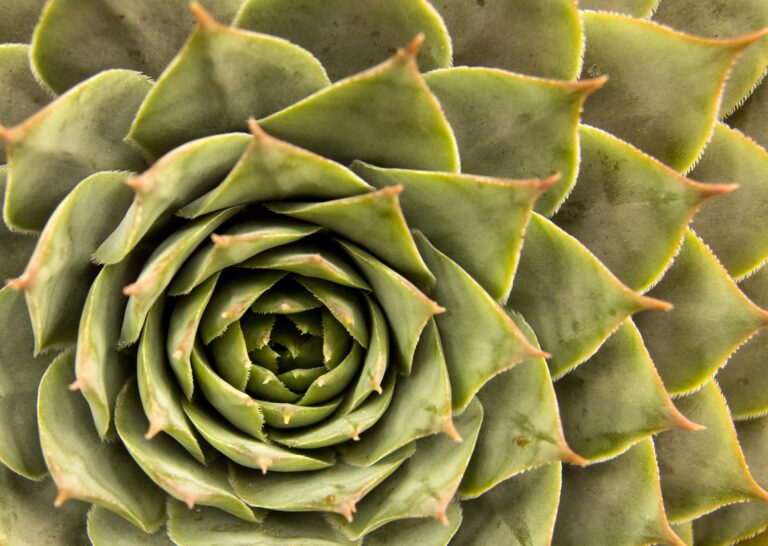 La guerre Israël-Hamas : Liste des événements clés, journée 68