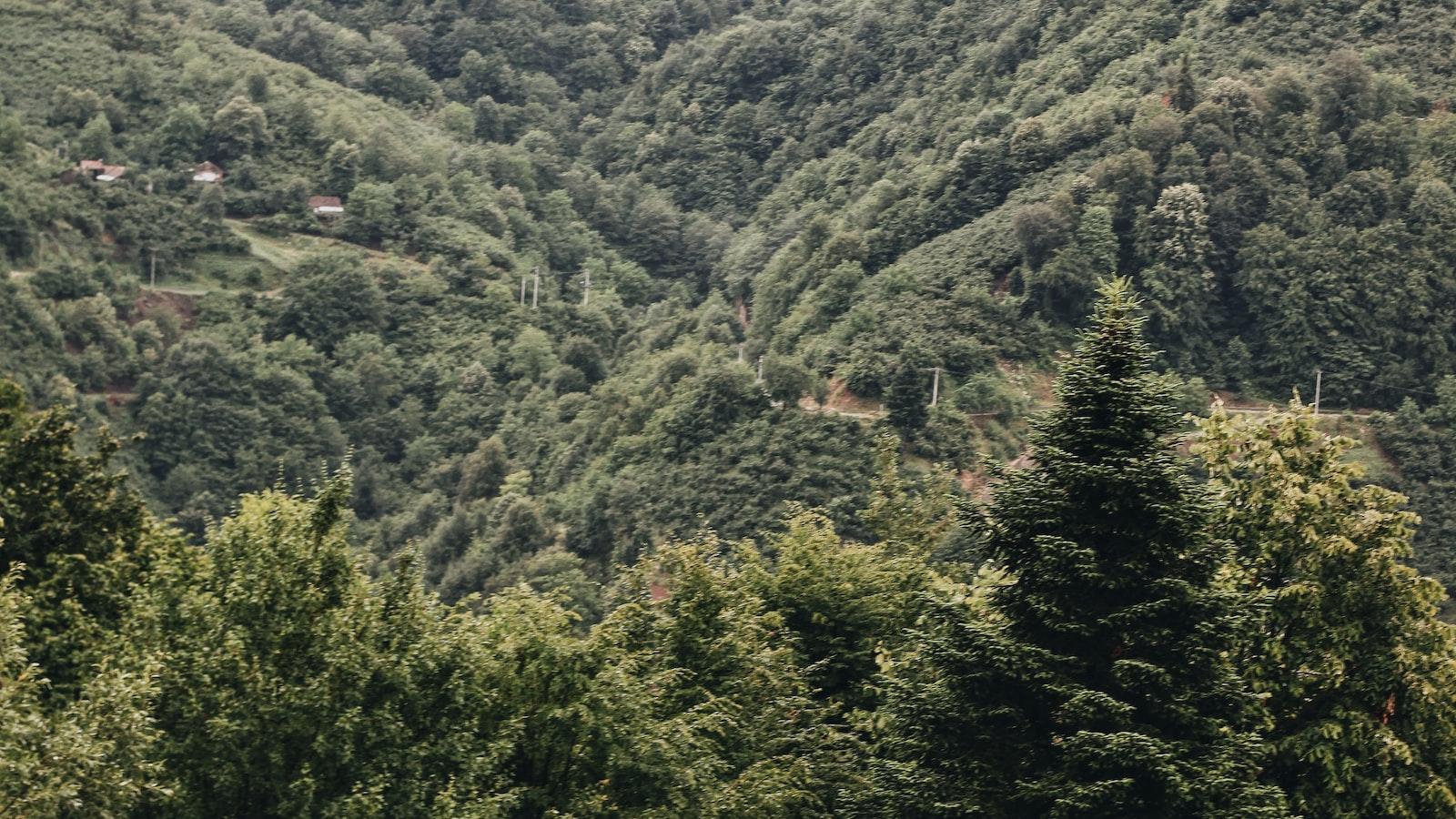 Coinbase annonce le lancement du trading de cryptomonnaies sur sa plateforme internationale