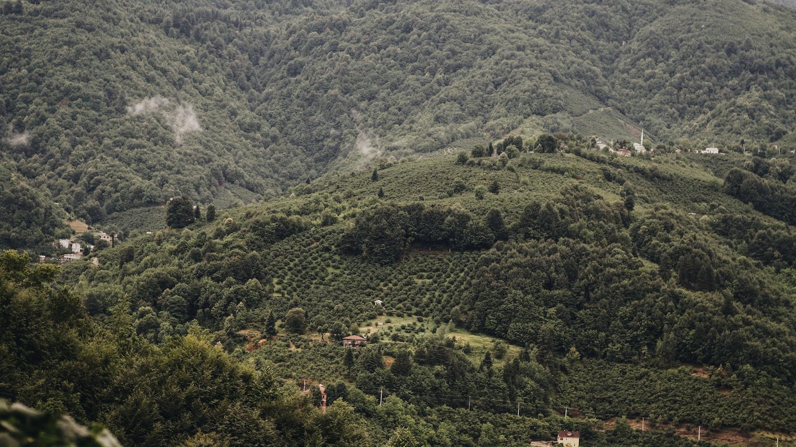 La compétition des jeunes chinois pour les emplois stables du gouvernement en période économique instable